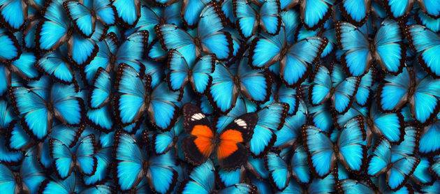 Des créations uniques