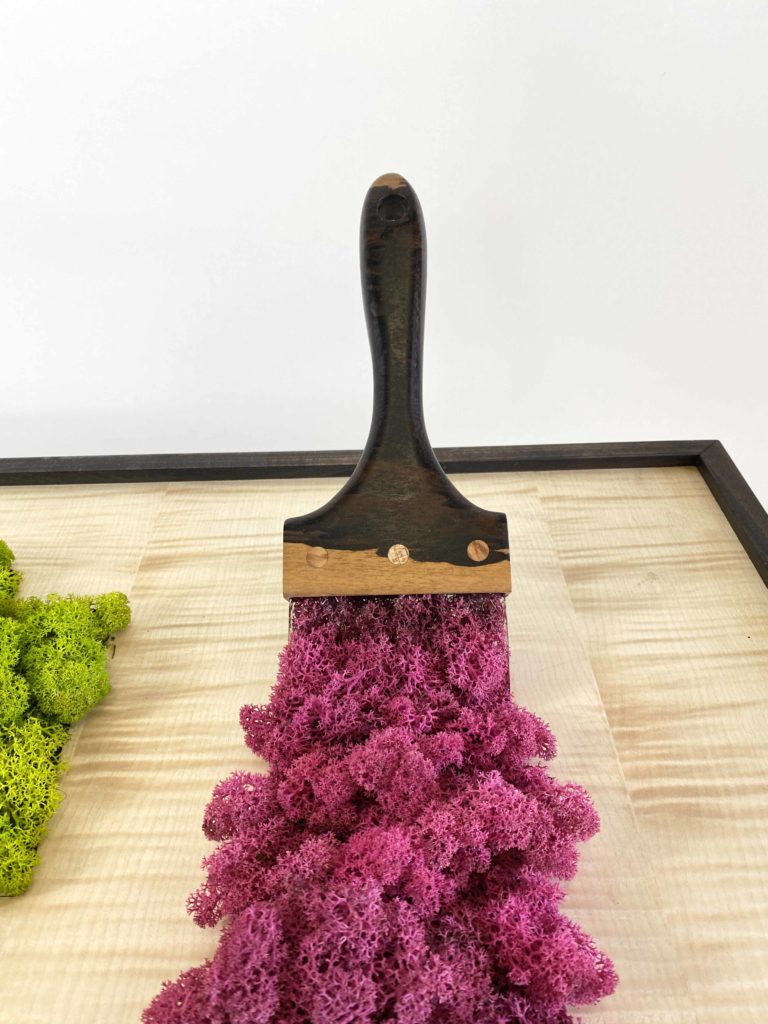 bois de Ziricote et Lichen stabilisé